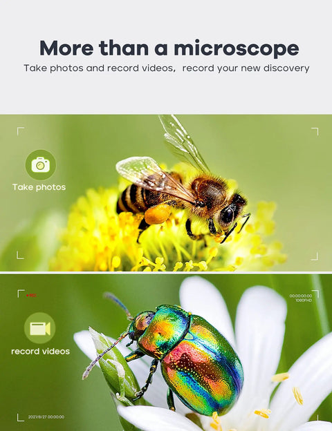 7 Inch LCD Digital Microscope With Screen 1200X Magnification 12MP Coin Microscope For 1080P Images And Videos Rotatable HD Display Easy Setup For Hobbyists DIYers And Classroom Tech Enthusiasts, bee photo and beetle video preview