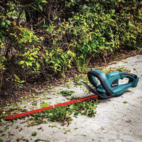 18V LXT Cordless Hedge Trimmer with 22-Inch Cut, brushed lithium-ion power tool only, lying on pavement by trimmed hedge