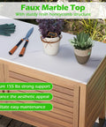 Outdoor Patio Storage Cabinet With Faux Marble Top Two Door Acacia Wood Console Sideboard with plants and gardening tools
