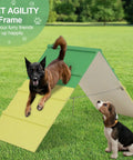 Dog Agility A-Frame Ramp for Backyard Training with dogs on green and yellow ramp in outdoor setting