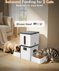Top Shelf Automatic Cat Feeder With Dual Bowls And HD Camera Setup Built For Two Cats with two cats eating.