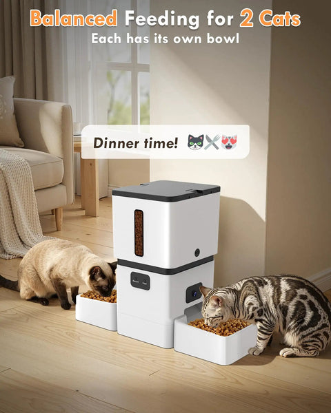 Top Shelf Automatic Cat Feeder With Dual Bowls And HD Camera Setup Built For Two Cats with two cats eating.