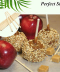 Smooth 16 Inch Round Bamboo Dowels Quarter Inch Diameter Natural Wood Sticks For Crafting Model Building Floral Arrangements And Diy Projects Bulk Pack Of 50 used for caramel apple display.