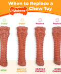 Power Chew Original Bone Dog Toys For Aggressive Chewers Durable Chicken And Bacon Flavor 2 Pack showing chew toy wear levels