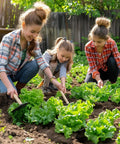 Three girls gardening with Over 20,000 Lettuce Seeds Pack With 10 Fresh Varieties For Indoor Or Outdoor Growing