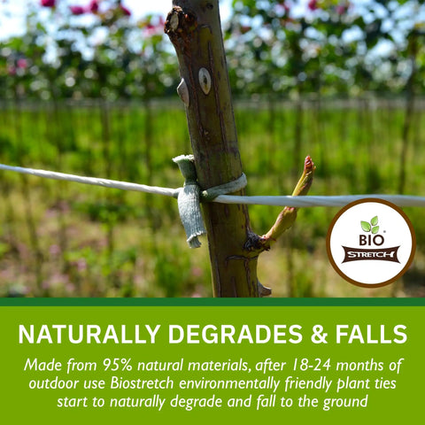 Soft Strong Stretchy Garden Plant Ties No-Fuss For Indoor And Outdoor Plants on tree, showcasing eco-friendly material use outdoors.