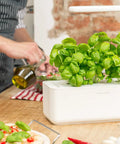 Indoor Herb Garden Kit With Grow Light For Kitchen Windowsill, white planter with basil on wooden table, person preparing meal.