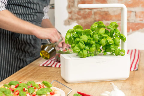 Indoor Herb Garden Kit With Grow Light For Kitchen Windowsill, white planter with basil on wooden table, person preparing meal.