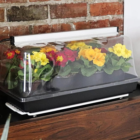 Prism Lens Powered LED Mini Greenhouse Kit With NanoTech Light Reflector And Double Thick Tray For Seed Starting And Plant Propagation