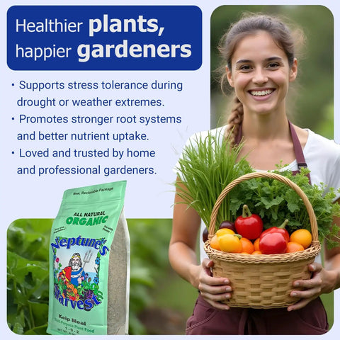Crab And Lobster Shell Plant Food 5-3-0 With Kelp Meal 1-0-2 Dual Pack Organic Fertilizer For Lawn And Garden That Boosts Soil Health Root Strength Moisture Retention And Big Growth, bag and gardener