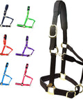 Heavy Duty Adjustable Horse Halter With Soft Nylon And Waffle Neoprene Cushions On Crown And Nose Built Tough multicolor variations