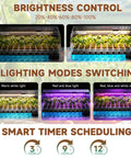 Self Watering Seed Starter Tray Kit With Full Spectrum Grow Light Five Dimmable Brightness Levels And Timer, indoor view