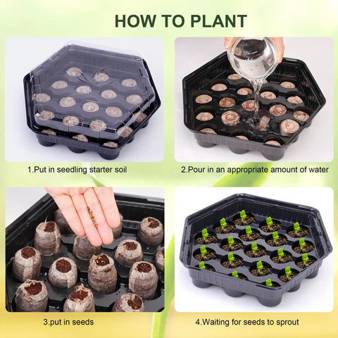 Four-step guide using Five Pack Seed Starter Trays With Dome, 95-Cell Kit, showing soil, watering, seeding, and sprouting indoors.