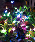 Two Pack Cherry Blossom Solar Garden Lights Outdoor Waterproof Decor Lamps With Heavy Bulb Base Two Modes Patio Yard Garden Accent Lighting For Lit Nighttime Vibes illuminating plants.