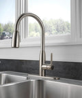Apex Kitchen Integrated Pull Down Faucet With Single Handle Half Inch IPS Connection Water Efficient 1 GPM Flow ADA Compliant