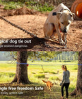 Comparison of typical dog tie-out with Backyard Dog Zipline Kit With 100 Ft Run Line And Trolley in use, showing safe play in yard.