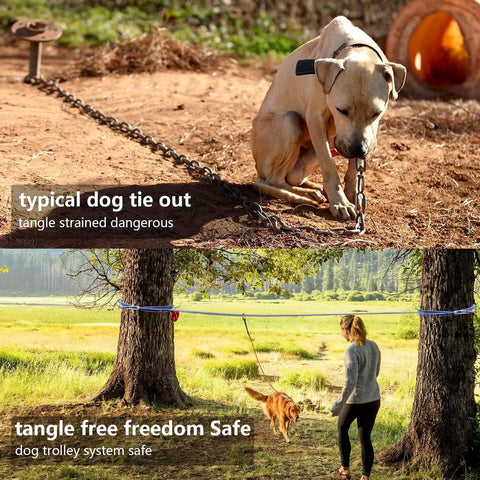 Comparison of typical dog tie-out with Backyard Dog Zipline Kit With 100 Ft Run Line And Trolley in use, showing safe play in yard.