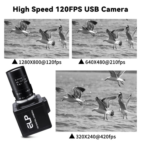 Top Tier Global Shutter Usb Camera With Hella Fast 640 Fps Monochrome Capture And Slick 5 To 50 Millimeter Cs Lens Kit For Linux Mac And Windows Platforms, showing image sequences of seagulls.