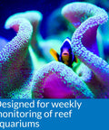 Colorful coral with a clownfish, showing reef tank beauty for Straight Up Essential Reef Tank Test Kit Gotta Watch Water Quality.