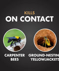 Powerful Termite Killing Foam For Indoor And Outdoor Use 16 Ounces Aerosol That Expands Into Voids Cracks And Crevices To Kill Subterranean Drywood And Dampwood Termites Also Takes Down Carpenter Bees image with carpenter bees and ground-nesting yellowjackets.