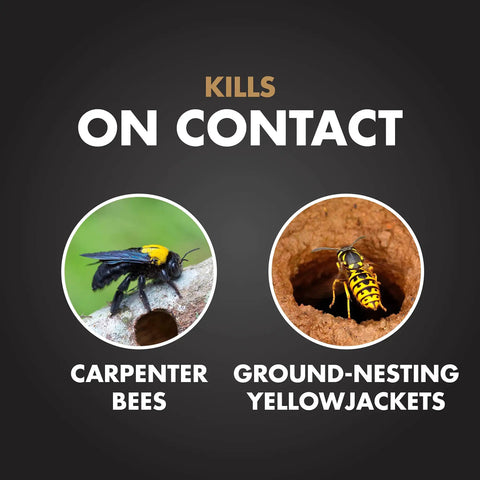 Powerful Termite Killing Foam For Indoor And Outdoor Use 16 Ounces Aerosol That Expands Into Voids Cracks And Crevices To Kill Subterranean Drywood And Dampwood Termites Also Takes Down Carpenter Bees image with carpenter bees and ground-nesting yellowjackets.