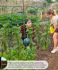 Two people using Metal Garden Arch Trellis For Climbing Veggies 50x48 Inch U Shaped Plant Support.