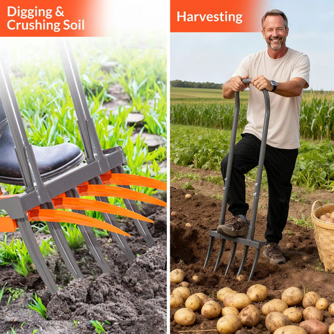 Beast Of A Broad Fork Garden Tool With 9 Tines Heavy Duty Ergonomic U Shaped Handle In Use For Digging And Harvesting Soil
