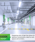 Garage with Sixteen Pack 4 Ft LED Shop Light For Garage And Workshop, Linkable Frosted Fixture, 5000K Daylight, Installed