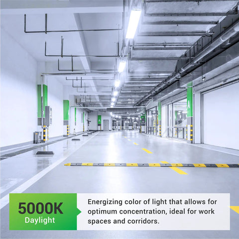 Garage with Sixteen Pack 4 Ft LED Shop Light For Garage And Workshop, Linkable Frosted Fixture, 5000K Daylight, Installed