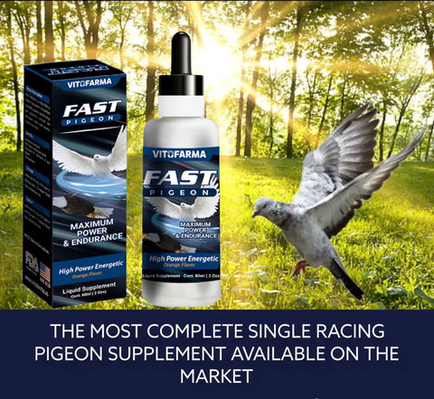 Fast Pigeon Energy Boosting Liquid Supplement With Vitamins And Minerals For Birds 60 Ml bottle and package in nature setting