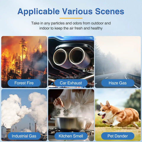 Image showing scenes illustrating uses for air purifiers: forest fire, car exhaust, haze gas, industrial gas, kitchen smell, pet dander.