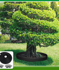 Durable 246 Ft Garden Landscape Edging Kit With Three 82 Ft Rolls Two Inch Tall Flexible Border And 216 Anchoring Spikes around tree