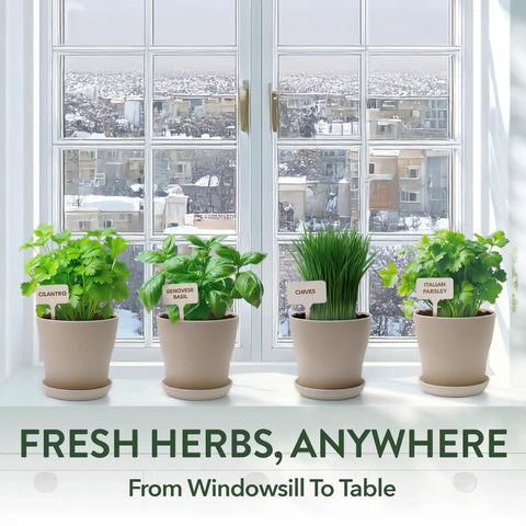 Indoor Herb Garden Starter Kit For Beginners Grow Four Heirloom Herbs On Your Kitchen Window With No Fuss Setup Easy DIY Gift