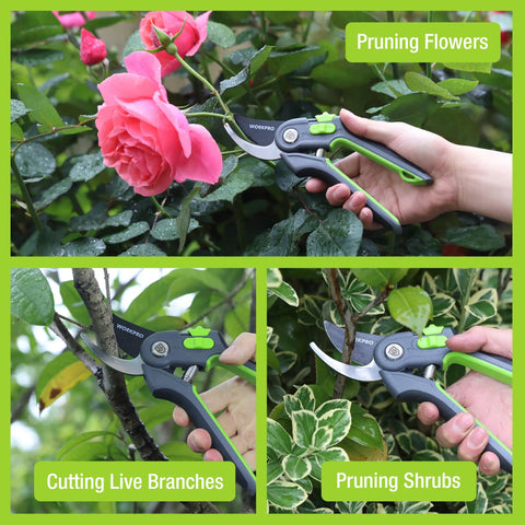 Bypass Pruning Shears 8 Inch Garden Scissors With Dual Opening For Thin And Thick Branches SK5 Steel Blades Nonstick Coated