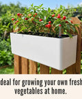 Total Patio Flex 16 Inch White Railing Planter Boxes 2 Pack Over Balcony Self Watering With Metal Brackets Plastic Window Boxes For Outdoor Herbs on wooden fence.