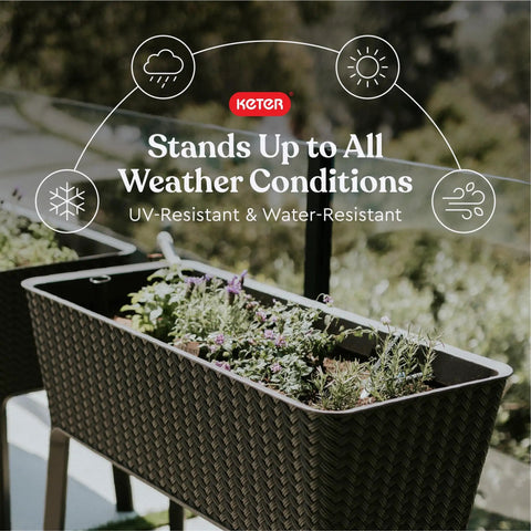 Splendor 31.7 Gallon Raised Garden Bed With Self Watering Planter Box And Drainage Plug For Growing Fresh Vegetables Herbs And Flowers In Brown Durable Weather Resistant And Easy To Assemble shown with plants outdoors