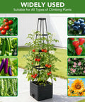 2 Pack Raised Garden Bed Planter Box With Trellis, 57 Inch Self Watering Tomato Planters For Climbing Plants and Vegetables