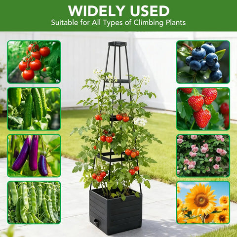 2 Pack Raised Garden Bed Planter Box With Trellis, 57 Inch Self Watering Tomato Planters For Climbing Plants and Vegetables