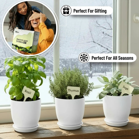 Awesome Indoor Garden Kit With Drainage Pots Watering Can And Tools Ideal Windowsill Planter Set For Fresh Herbs And Microgreens White Modern Home Decor Gift For Kitchen Or Balcony, showing white pots with basil, thyme, and sage on a windowsill with snow outside.