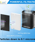 Easy Install HEPA Filter Replacement For HPA300 Series Compatible With Honeywell Air Purifiers Plug And Play No Tools Needed 9 Pack R Filter HRF R3 R2 Replacement Great For Allergies And Pets Long Lasting Performance, showing powerful filtration process capturing particles.