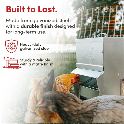 Heavy Duty Galvanized Trough Chicken Feeder Gravity Fed 10 Lbs Capacity With Removable Rain Hood For Weather Resistant Outdoor Coop And Farm Poultry Setup, featuring durable galvanized steel and chickens feeding.