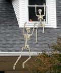 Two-Pack 36 Inch Pose N Stay Skeleton Decorations For Haunted House Halloween Decor Indoors And Outdoors With Heavy Duty Bones Movable Joints And Hang Rope Included Spooky Realistic Props Ready To Haunt on rooftop