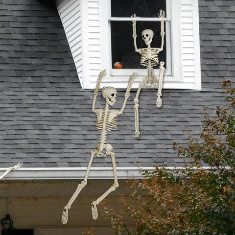 Two-Pack 36 Inch Pose N Stay Skeleton Decorations For Haunted House Halloween Decor Indoors And Outdoors With Heavy Duty Bones Movable Joints And Hang Rope Included Spooky Realistic Props Ready To Haunt on rooftop