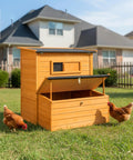 Wooden Chicken Coop For Backyard Living With Outdoor Hen House Design, Three Nesting Boxes, Removable Tray, Foldable Ramp, And Sturdy Asphalt Roof For Easy No Fuss Chicken Care
