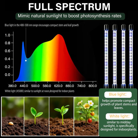 Full spectrum LED benefits for Two Pack Seed Starter Tray With Grow Light Pro Grade 80 Cell Trays and plant growth stages.