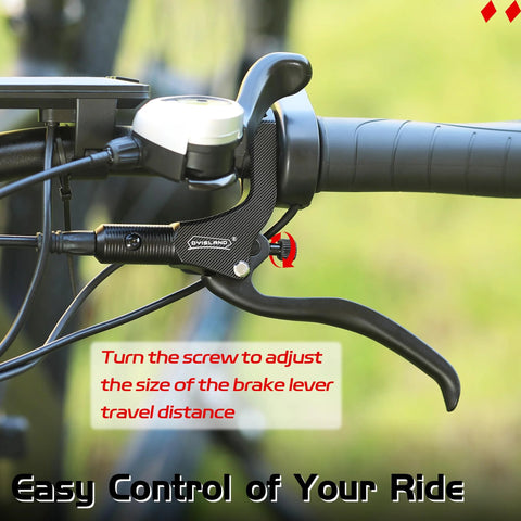 DYISLAND LD-200 hydraulic brake lever set on bike handlebar, black finish with DYISLAND logo, side view