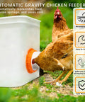 Orange 12 Pack Chicken Feeder Ports With Lids Drill Bit DIY Automatic Poultry Feeder Cups Kit For Barrels in use with chickens