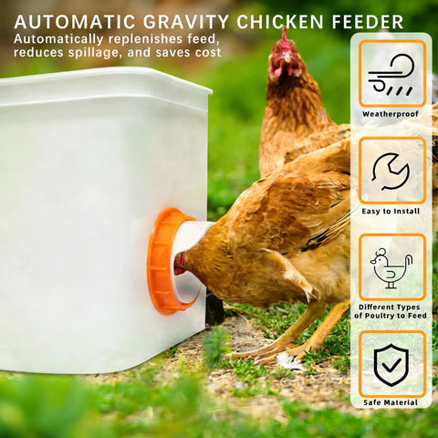 Orange 12 Pack Chicken Feeder Ports With Lids Drill Bit DIY Automatic Poultry Feeder Cups Kit For Barrels in use with chickens