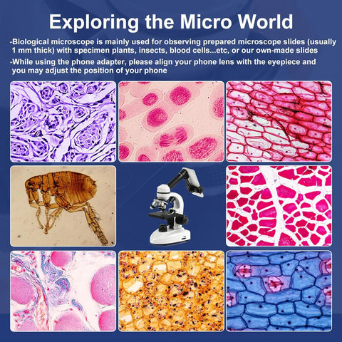 Kid-Friendly High Magnification Microscope For Adults And Kids, 100X-2000X Metal Body With Dual LED Illumination kit displayed with specimen slides