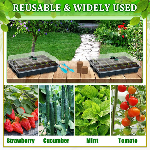 No Fuss Indoor Seed Starter Tray Kit Set For Quick Germination, 2 pack germination trays with coco pellets and plants.